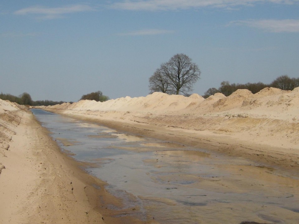 Slide 8 of Field-scale experiment of migrating bar behavior: preliminary analysis