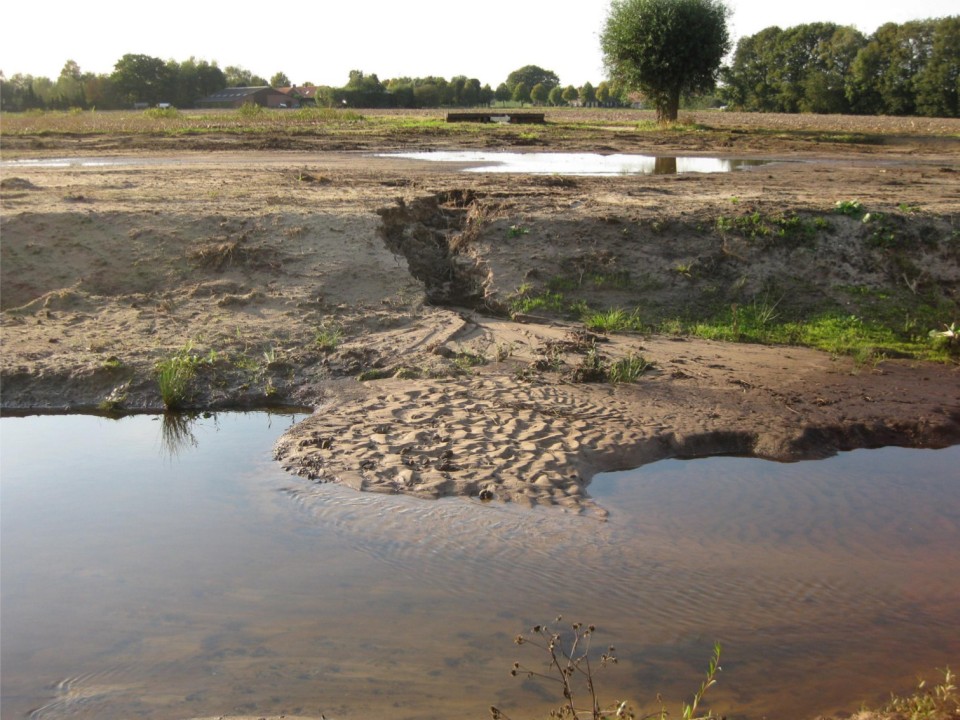 Slide 14 of Field-scale experiment of migrating bar behavior: preliminary analysis