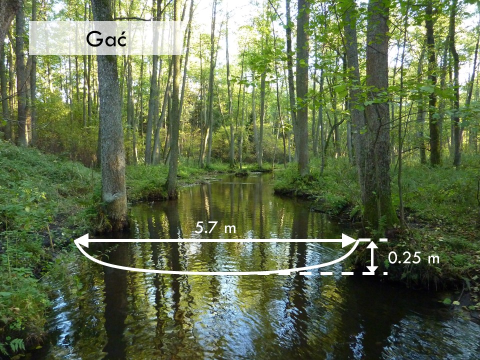 Slide 4 of Morphological Processes in Lowland Streams – Implications for Stream Restoration