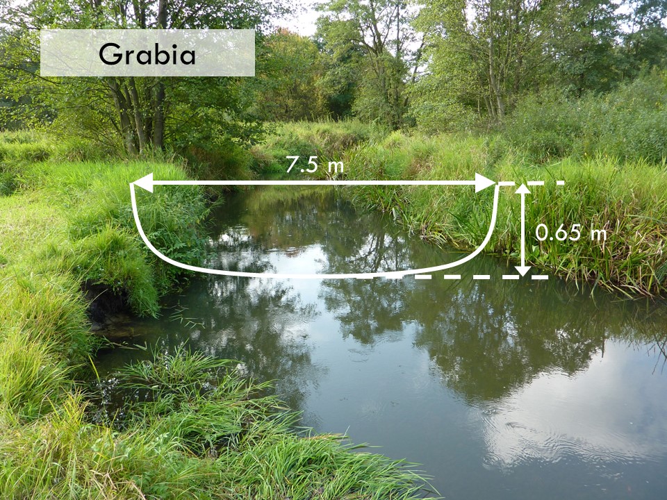 Slide 6 of Morphological Processes in Lowland Streams – Implications for Stream Restoration
