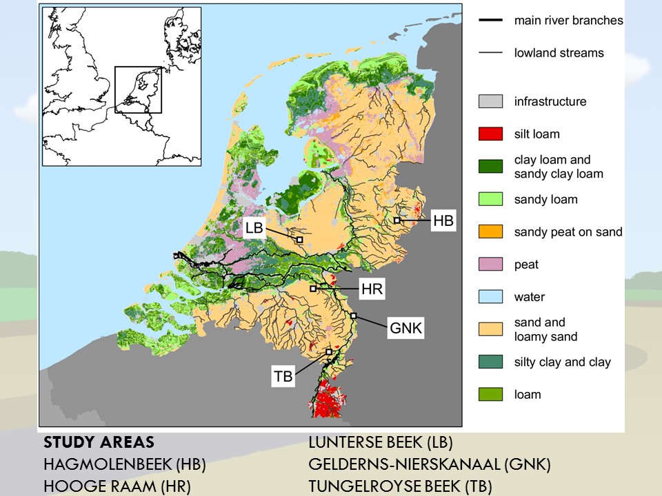 Slide 17 of Morphological Processes in Lowland Streams – Implications for Stream Restoration