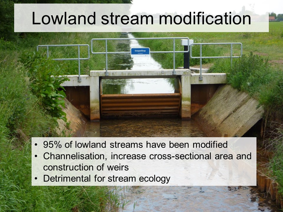 Slide 2 of Biological and physical conditions of macroinvertebrates in reference lowland streams
