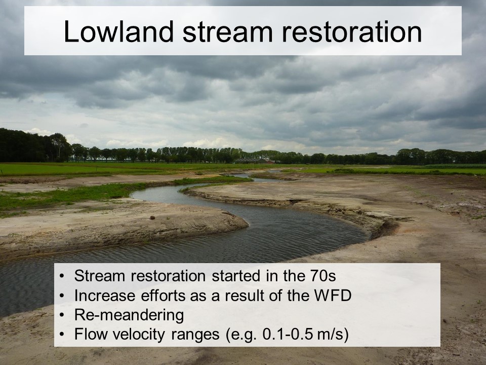 Slide 3 of Biological and physical conditions of macroinvertebrates in reference lowland streams