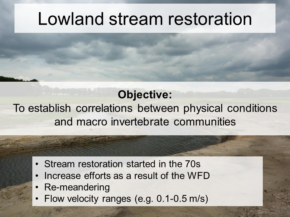 Slide 4 of Biological and physical conditions of macroinvertebrates in reference lowland streams