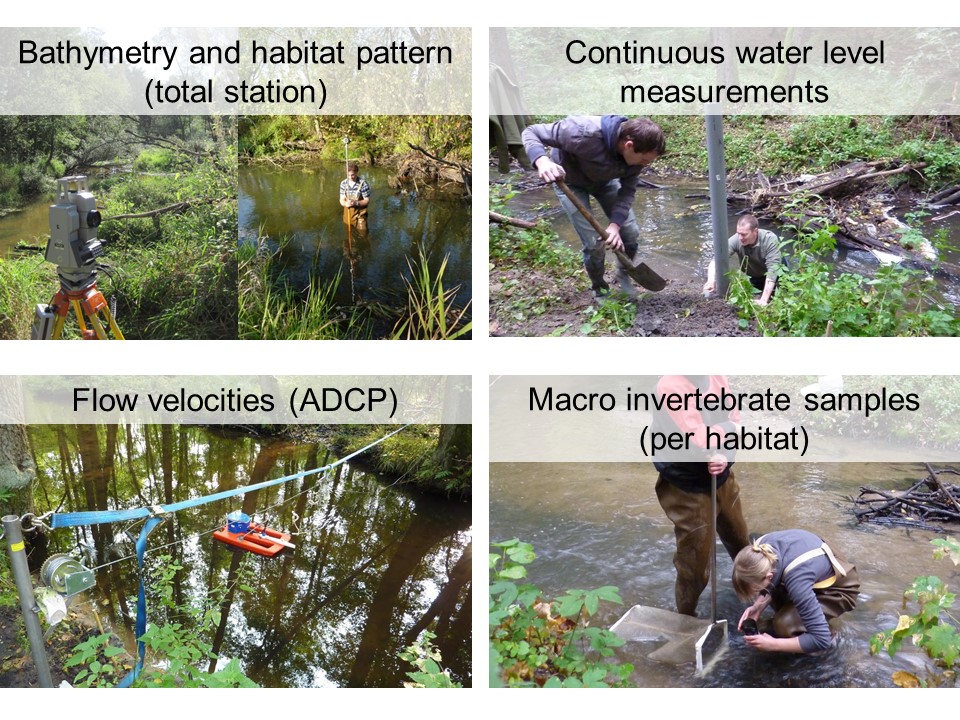 Slide 6 of Biological and physical conditions of macroinvertebrates in reference lowland streams