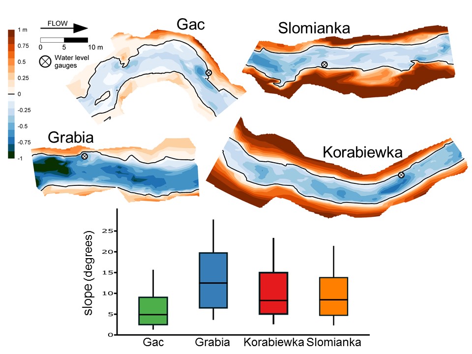 Slide 7 of Biological and physical conditions of macroinvertebrates in reference lowland streams