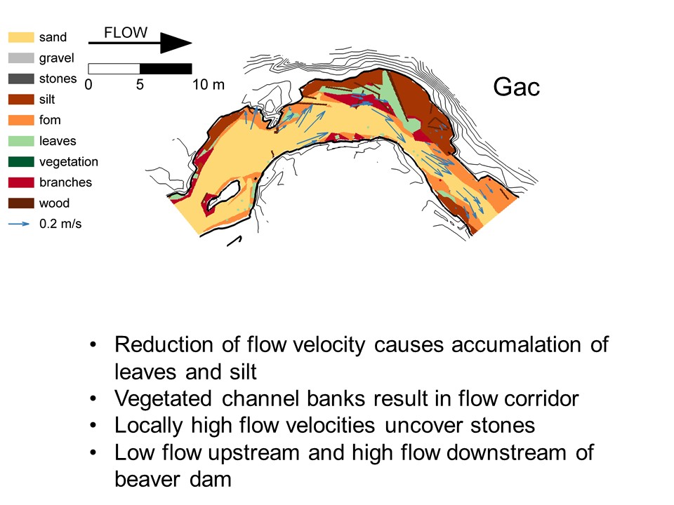 Slide 9 of Biological and physical conditions of macroinvertebrates in reference lowland streams