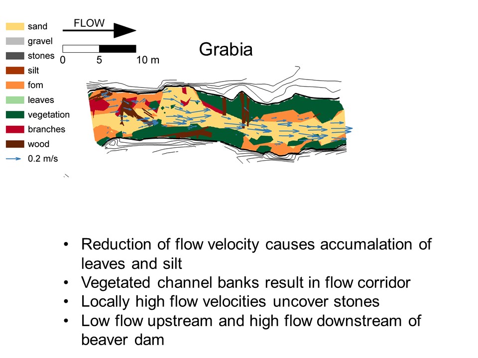 Slide 10 of Biological and physical conditions of macroinvertebrates in reference lowland streams