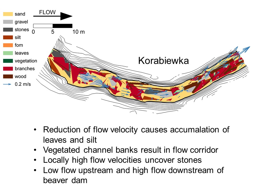 Slide 11 of Biological and physical conditions of macroinvertebrates in reference lowland streams