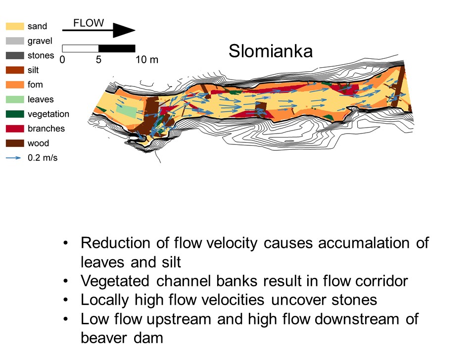 Slide 12 of Biological and physical conditions of macroinvertebrates in reference lowland streams