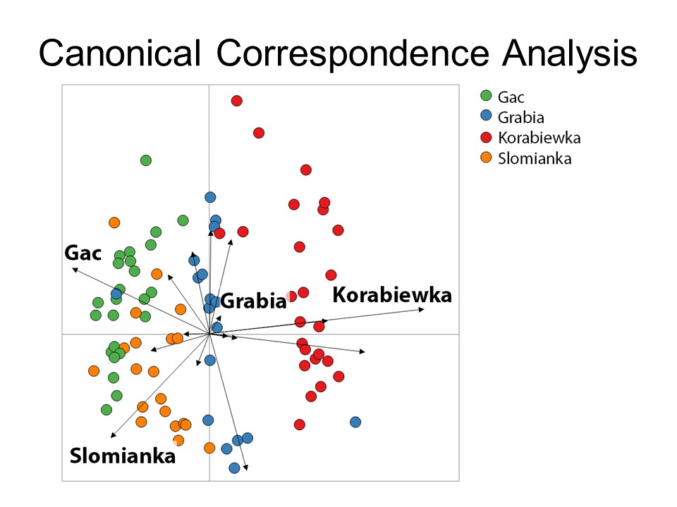 Slide 15 of Biological and physical conditions of macroinvertebrates in reference lowland streams