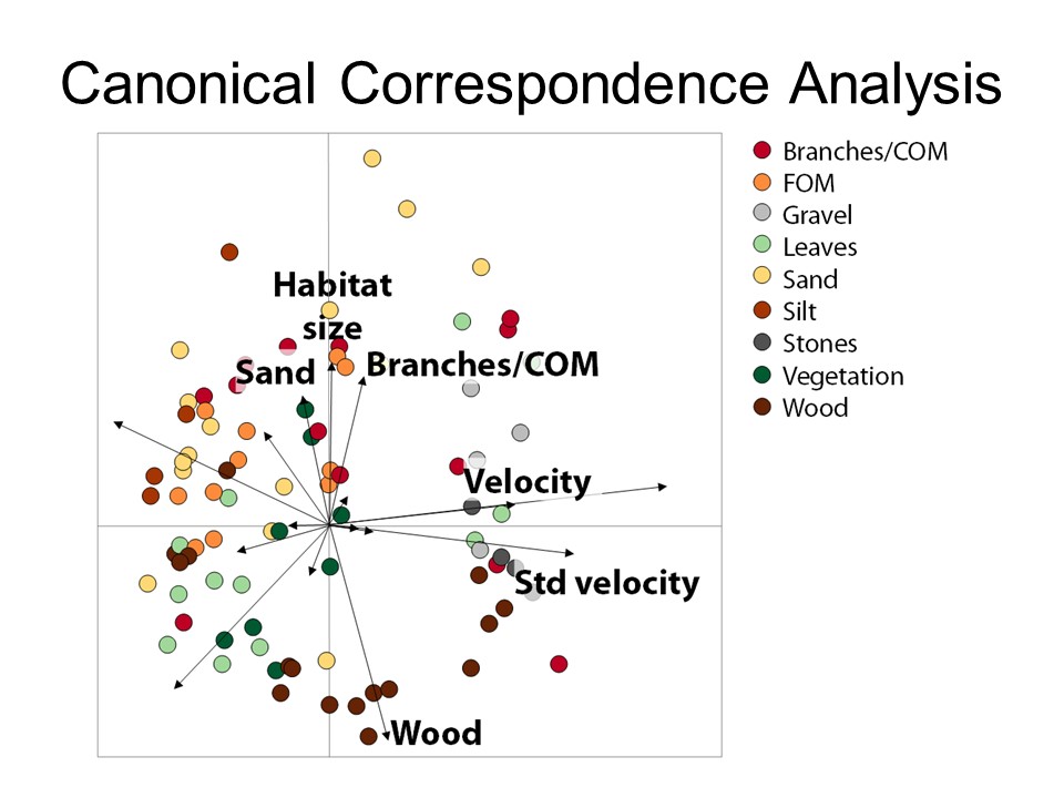 Slide 16 of Biological and physical conditions of macroinvertebrates in reference lowland streams