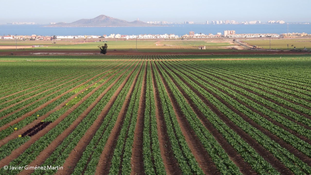 Slide 3 of Evaluating the impact of irrigated agriculture on a coastal lagoon in a semi-arid catchment in southeast Spain