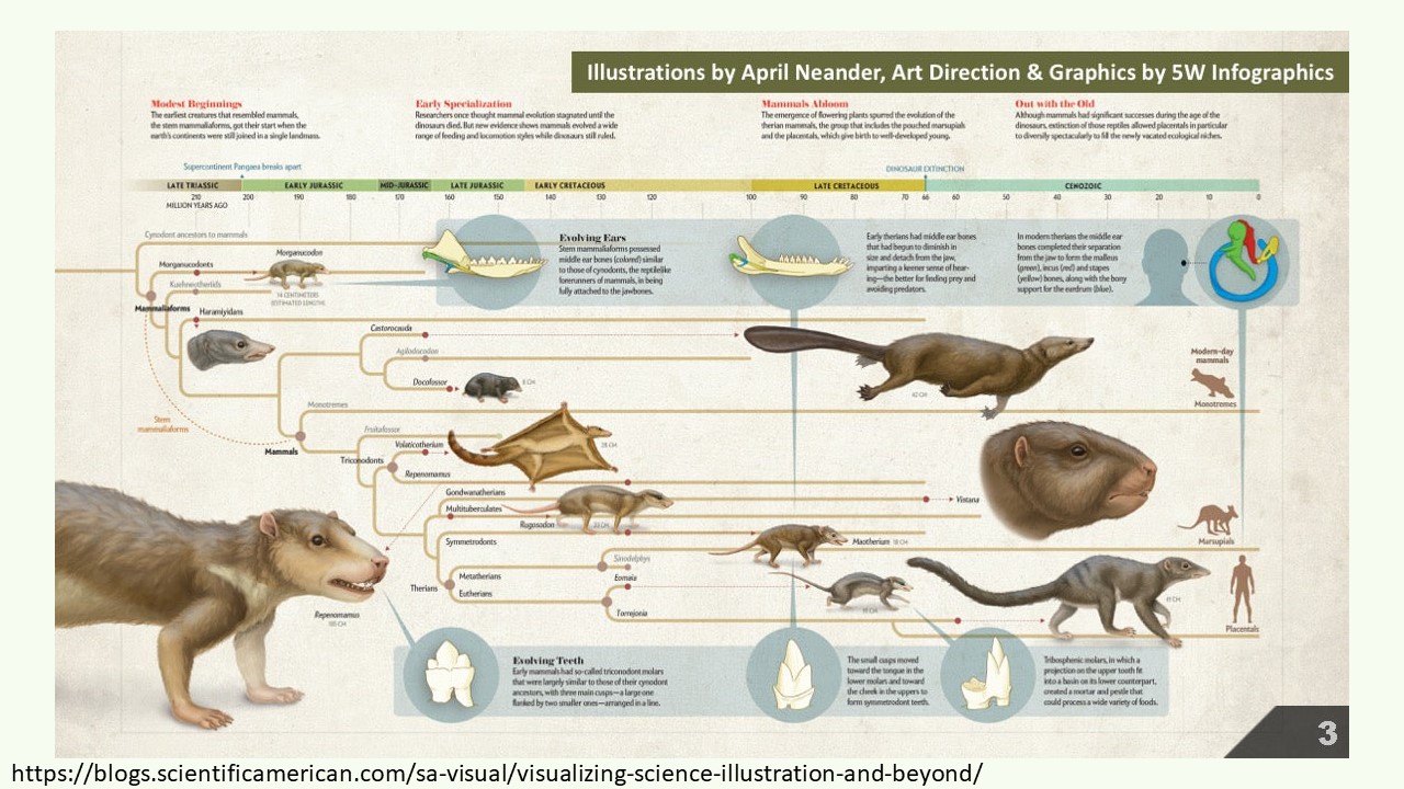 Slide 5 of How to make a great graphical abstract