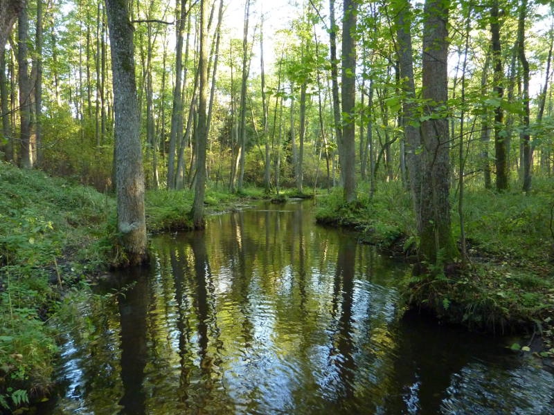 Photo of Gac River