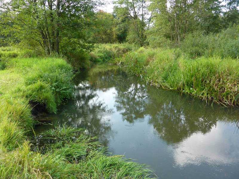 Photo of Grabia River