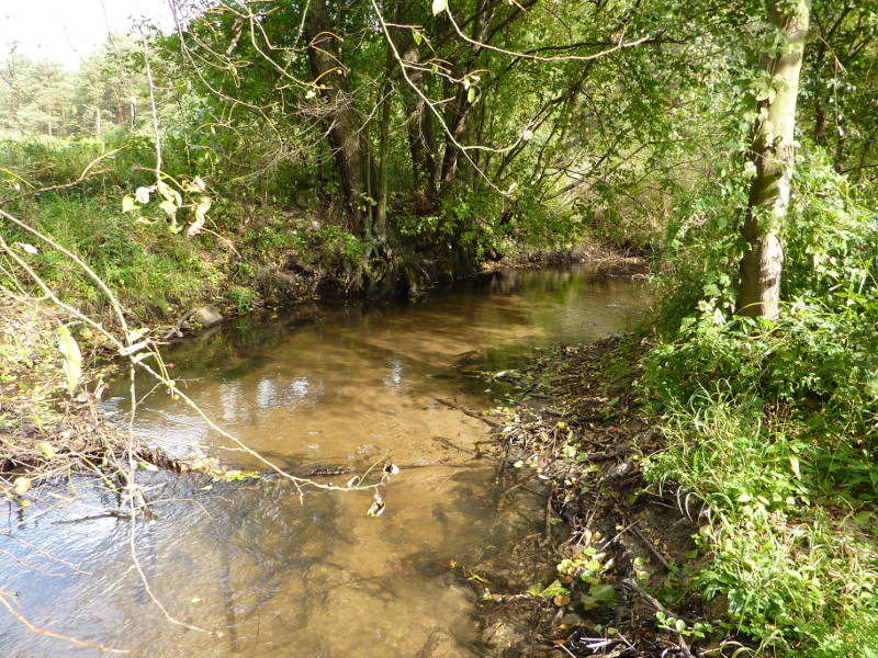 Photo of Slomianka River