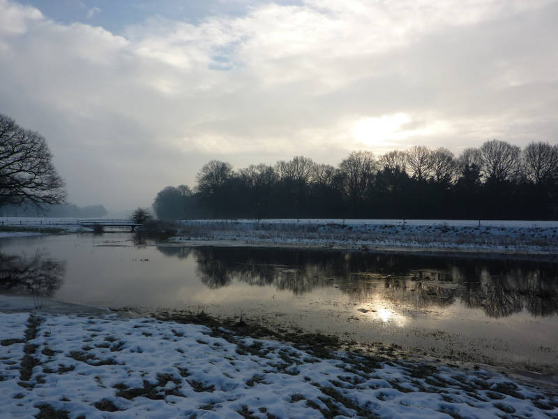 Photo of Hagmolenbeek stream restoration project