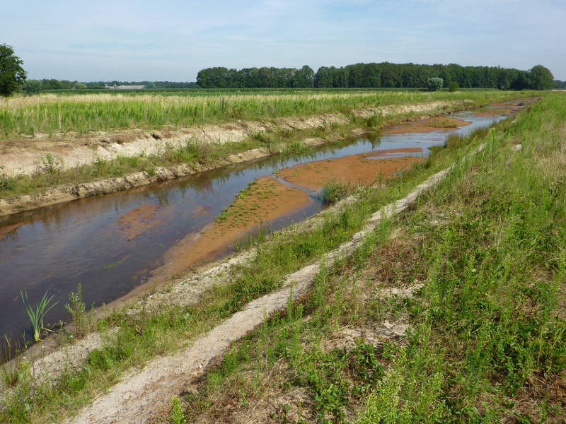 Photo of Hooge Raam large-scale field experiment