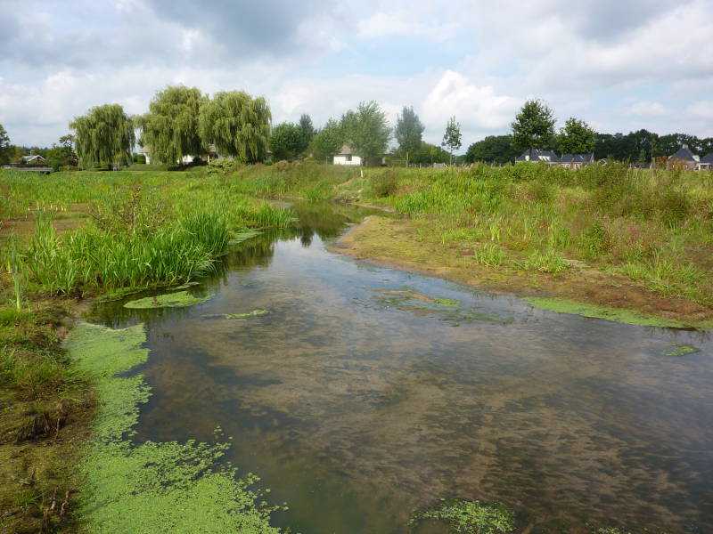 Photo of Lunterse beek stream restoration project