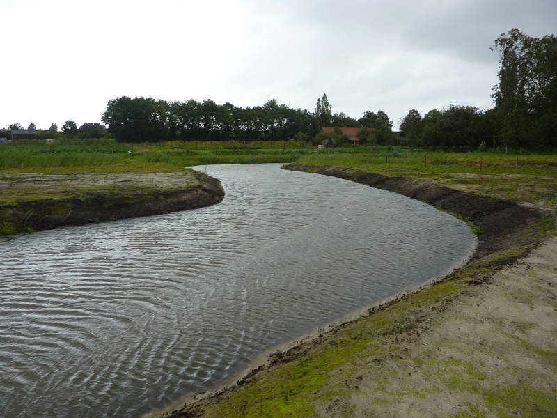 Photo of Tungelroyse beek stream restoration project