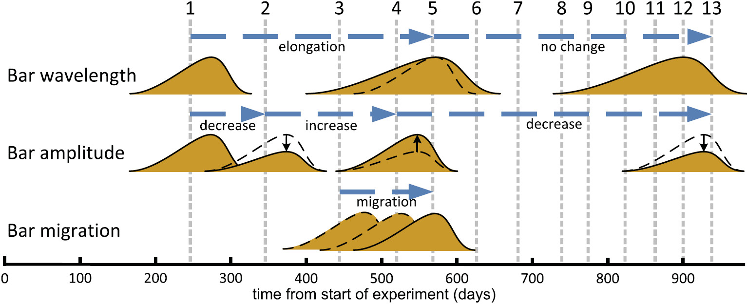 Graphical abstract for Field experiment on alternate bar development in a straight sand-bed stream