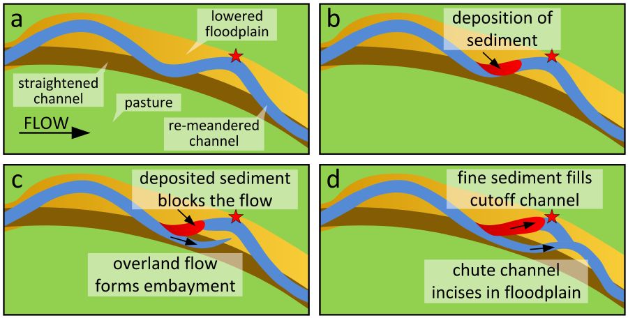 Graphical abstract for Chute cutoff as a morphological response to stream reconstruction: The possible role of backwater