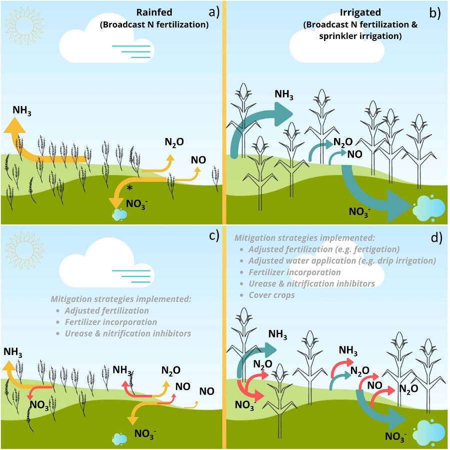 Graphical abstract for Nitrogen dynamics in cropping systems under Mediterranean climate: a systemic analysis