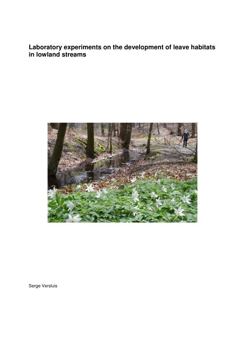 Thesis Cover