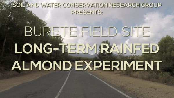 Cover for Burete Field Site - Long-term Rained Almond Experiment