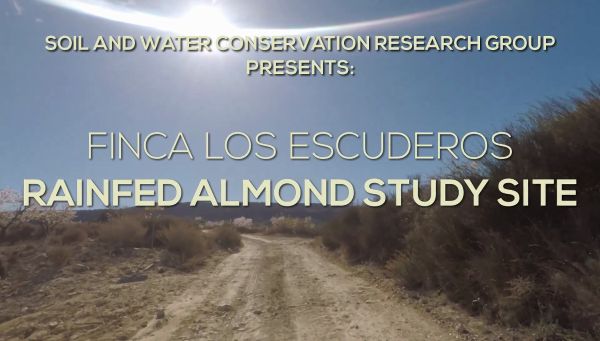Cover for Finca Los Escuderos - Rainfed Almond Study Site
