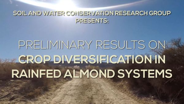 Cover for Preliminary results on crop diversification in rainfed almond systems